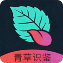 摆花齐放录