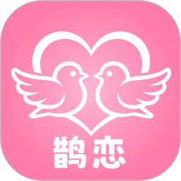 鹊恋