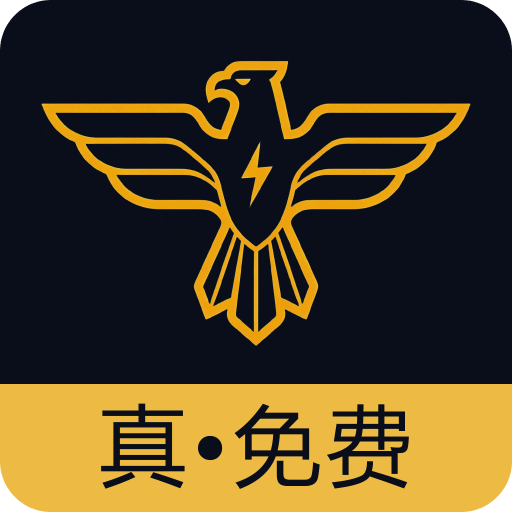 雄鹰加速器