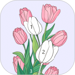数字画画